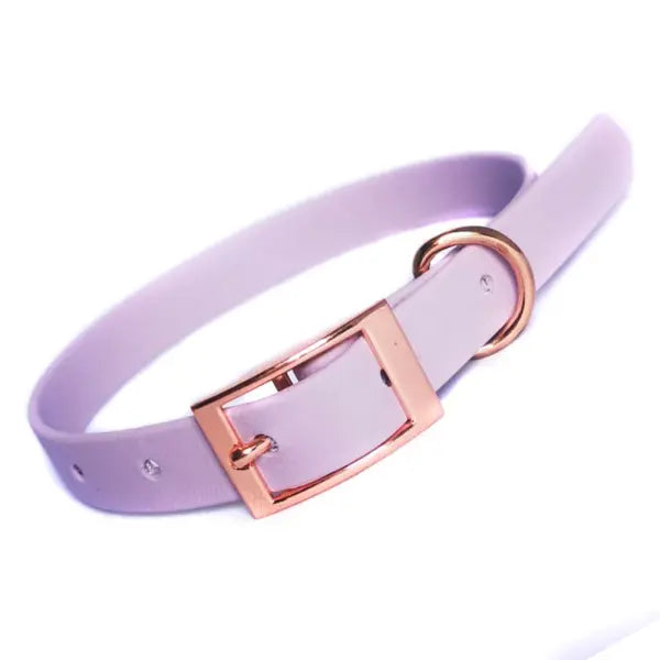 Lilac hotsell dog collar