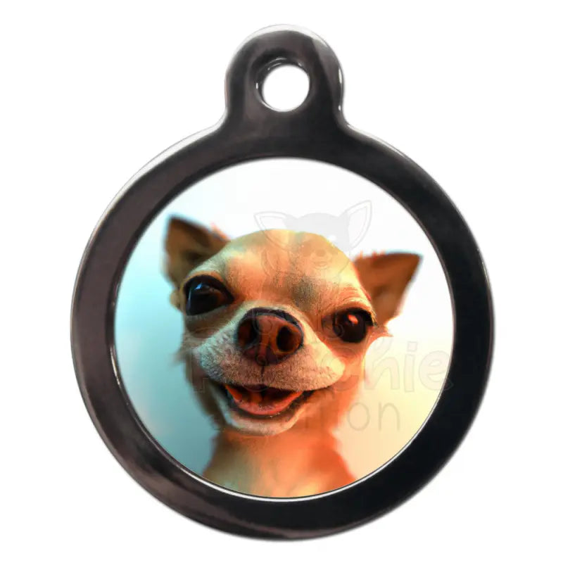 Chihuahua shop dog tags