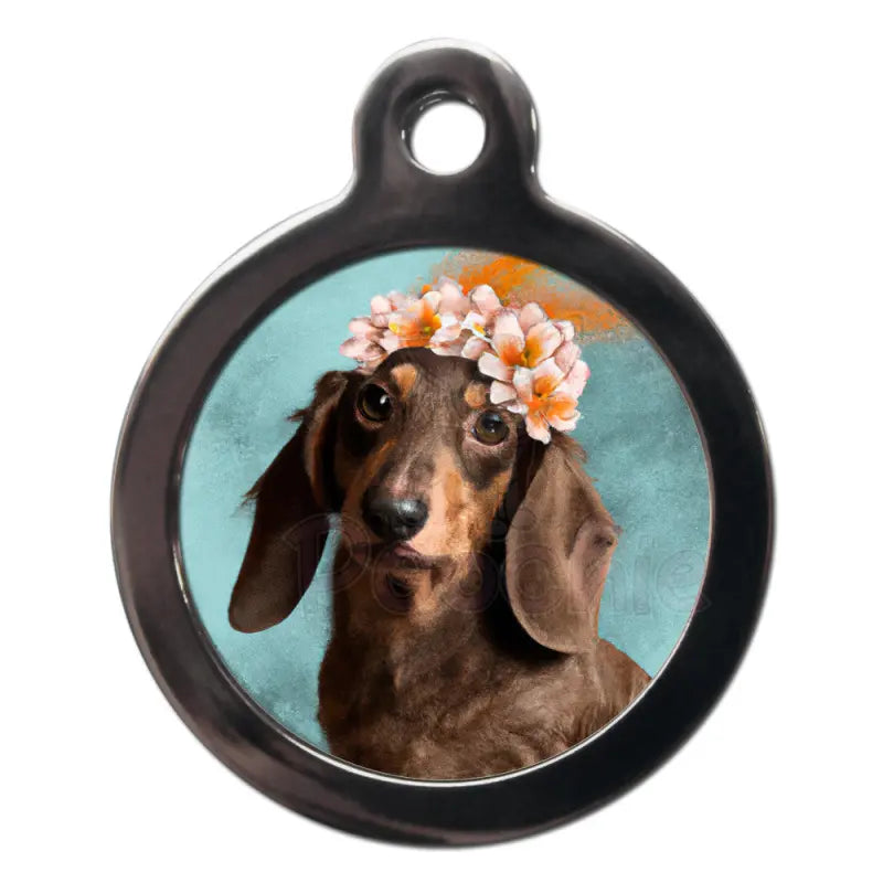 Dachshund dog id tags best sale