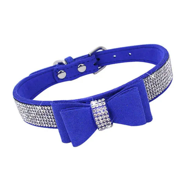 Royal blue dog outlet collar