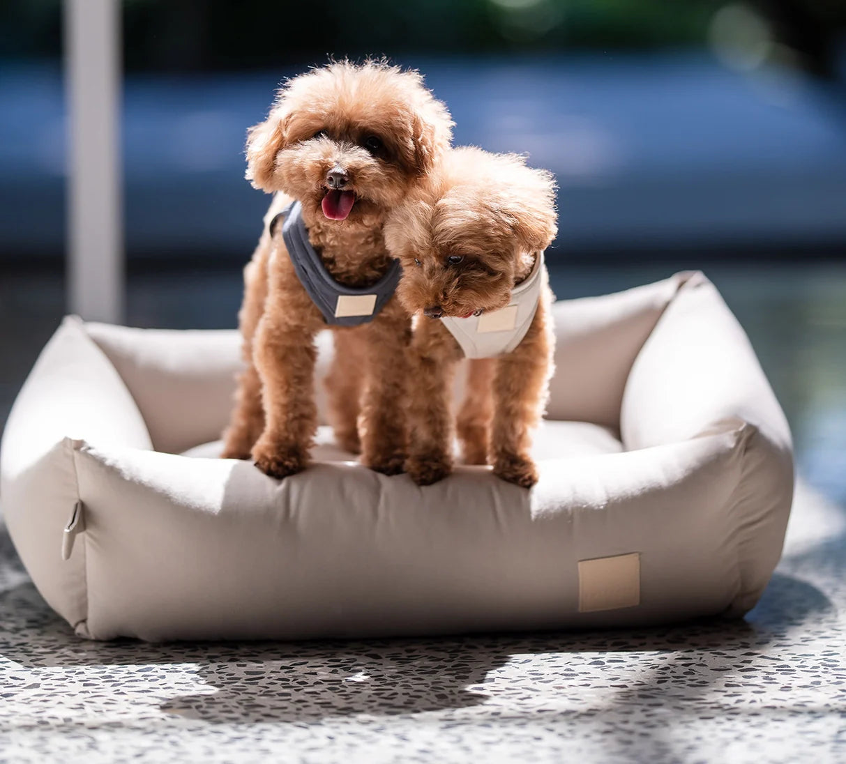 Luxury Dog Beds & Blankets