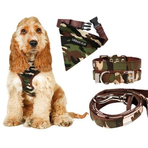 Camouflage Gear