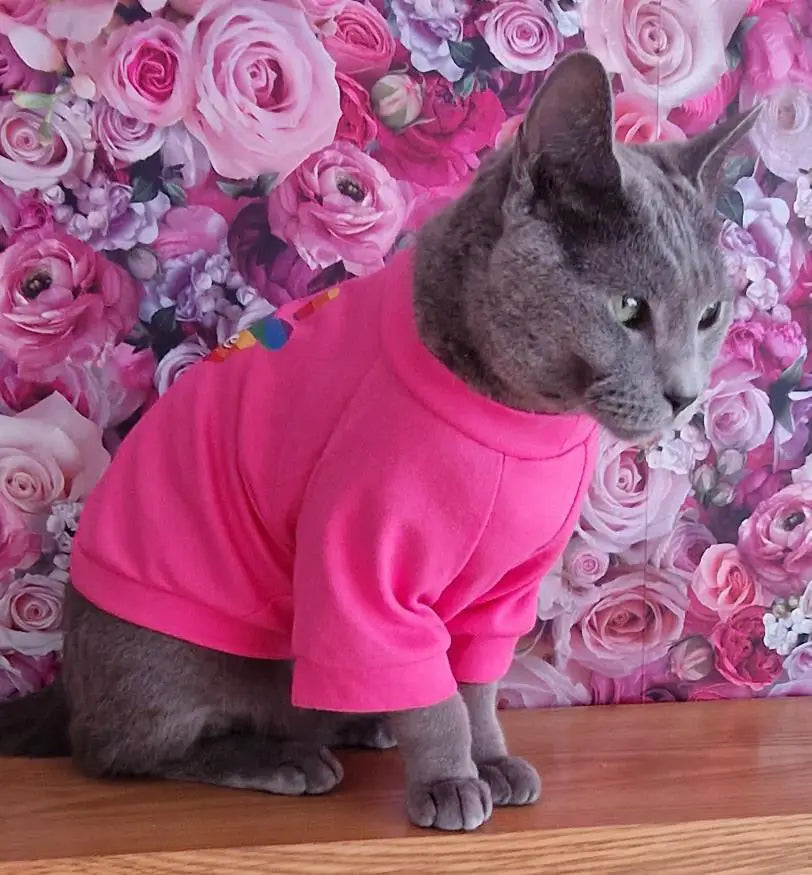 Cat Fashion