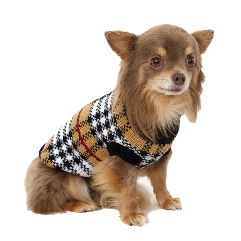 dog jumpers