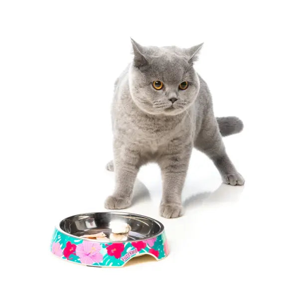 Cat Bowls & Mats