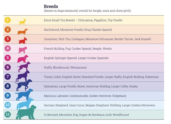 snappy-breed-guide
