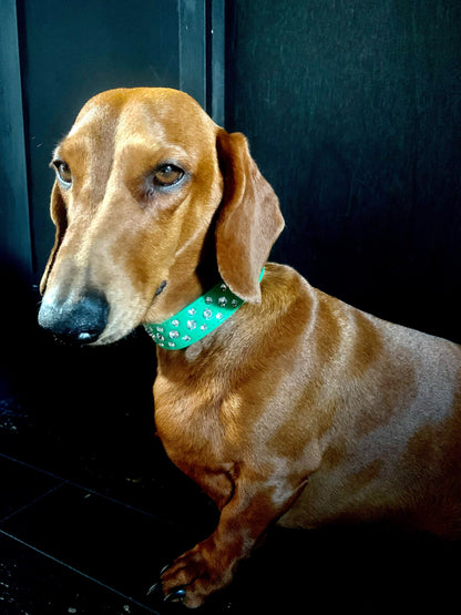 Green Rhinestone Sprinkles Dog Collar - Posh Pawz - 2