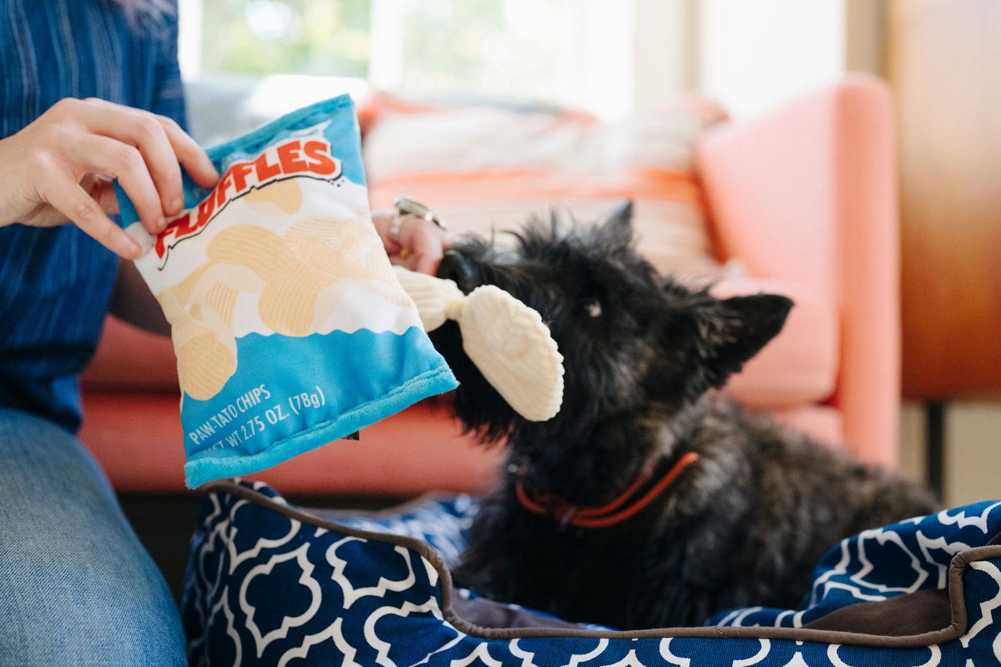 Snack Attack Fluffles Chips Dog Toy by P.l.a.y - P.l.a.y - 2