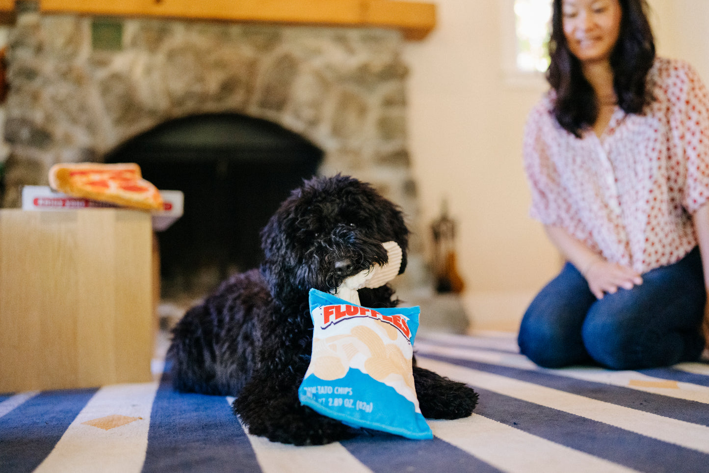 Snack Attack Fluffles Chips Dog Toy by P.l.a.y - P.l.a.y - 6