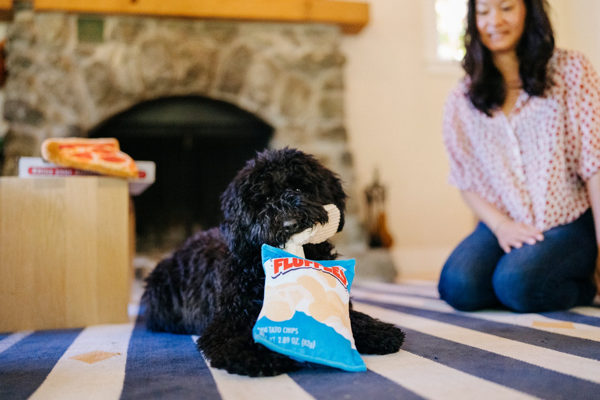 Snack Attack Fluffles Chips Dog Toy by P.l.a.y - P.l.a.y - 6