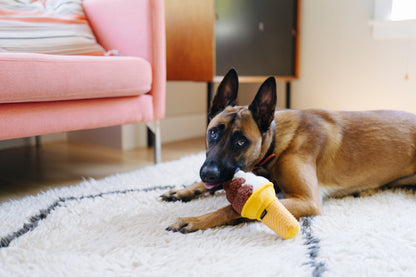 Snack Attack Soft Serve Dog Toy by P.l.a.y - P.l.a.y - 5