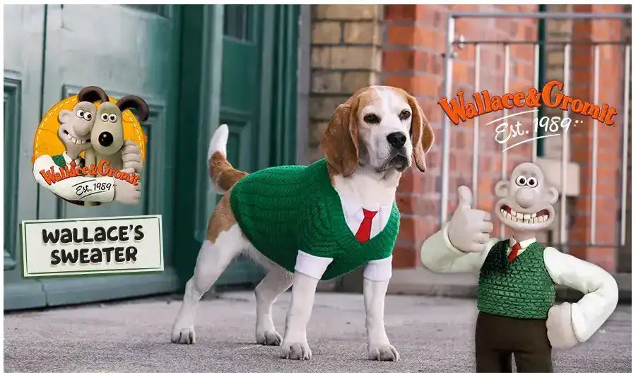 Beagle wearing a green sweater with a red tie.