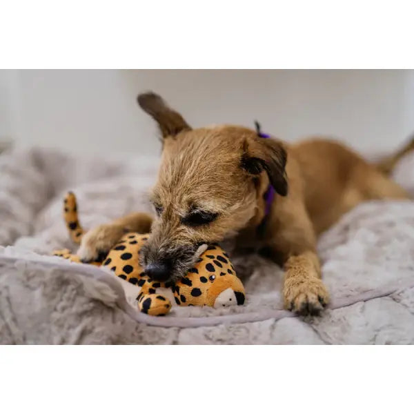 Big Five of Africa Leopard Dog Toy by P.l.a.y - P.l.a.y - 3