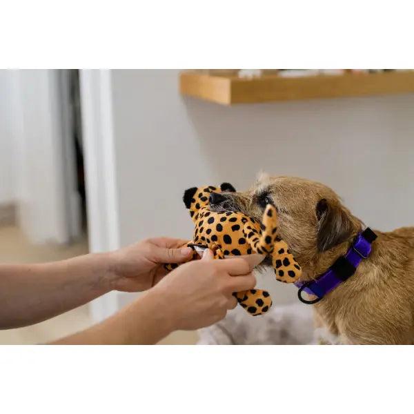 Big Five of Africa Leopard Dog Toy by P.l.a.y - P.l.a.y - 5