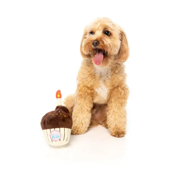 Birthday Cupcake Dog Toy by Fuzzyard - Fuzzyard - 2