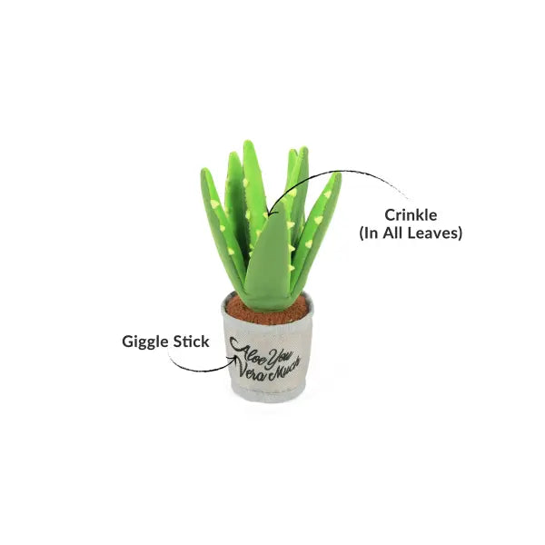 Blooming Buddies Aloe-ve you Plantdog Toy by P.l.a.y - P.l.a.y - 1