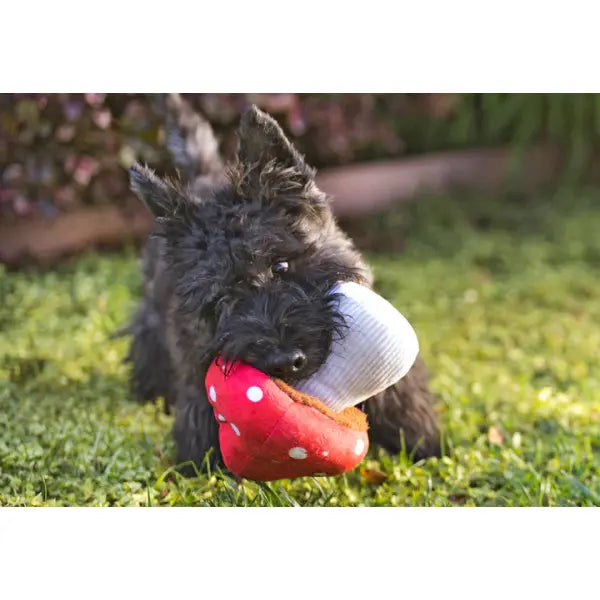 Blooming Buddies Mutt’s Mushroom Dog Toy by P.l.a.y - P.l.a.y - 2