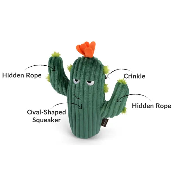 Blooming Buddies Prickly Pup Cactus Dog Toy by P.l.a.y - P.l.a.y - 1