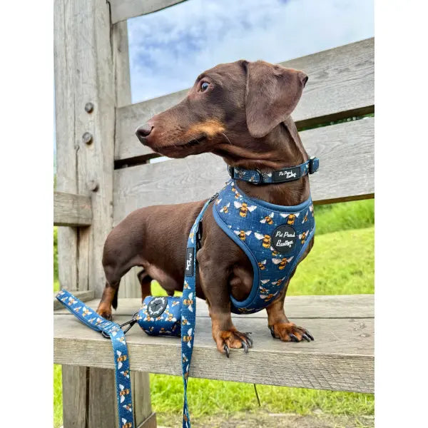 Buzzy Bumble Bee Dog Harness - Pet Pooch - 3