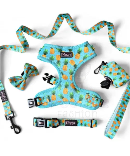 Caribbean Dog Harness Super Bundle - Piggie - 1