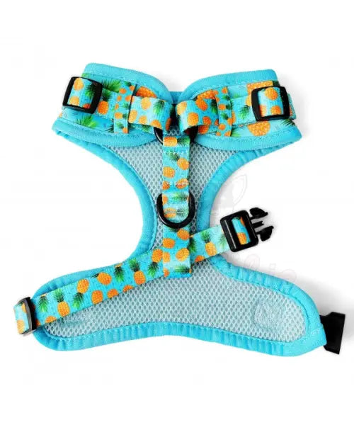 Caribbean Dog Harness Super Bundle - Piggie - 3