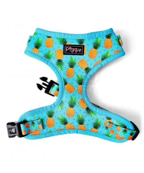 Caribbean Dog Harness Super Bundle - Piggie - 2