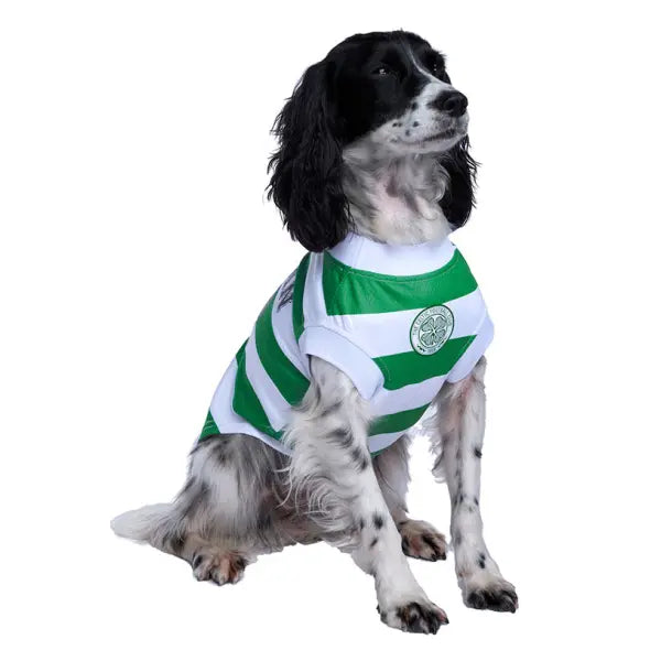 Celtic Football Team Personalised Dog T-shirt - Urban - 6