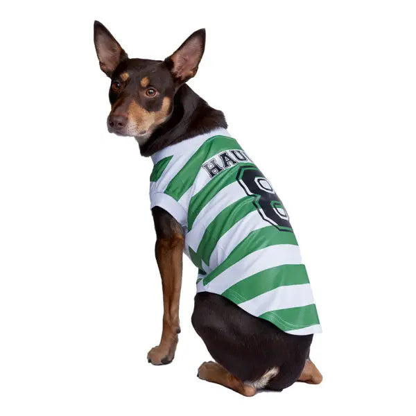 Celtic Football Team Personalised Dog T-shirt - Urban - 3