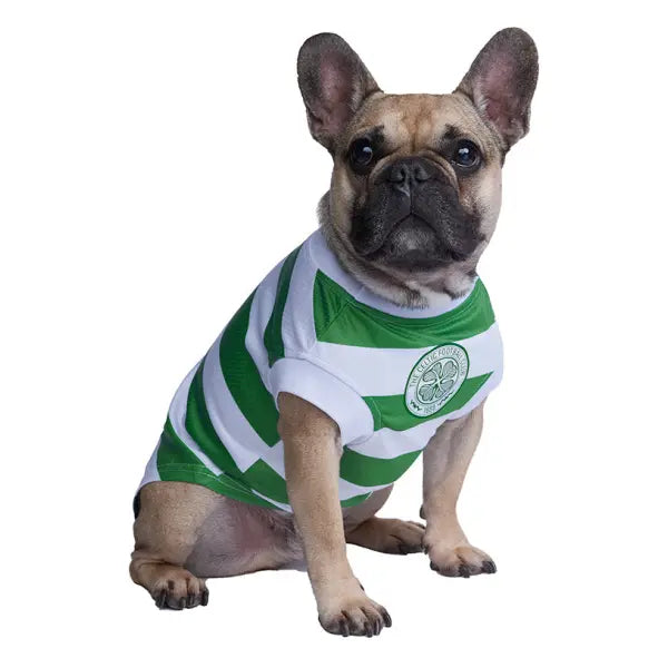 Celtic Football Team Personalised Dog T-shirt - Urban - 4