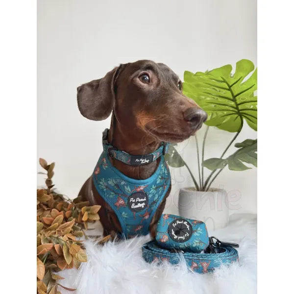 Cheeky Monkey Dog Harness - Pet Pooch - 2