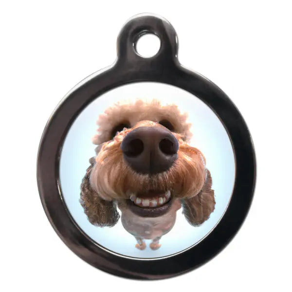 Cockapoo Fish Eye Dog ID Tag - PS Pet Tags - 1