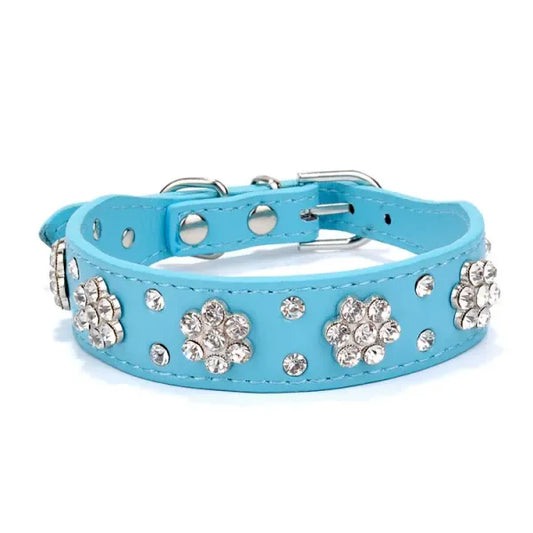 Crystal Flowers Dog Collar in Aqua Blue - Posh Pawz - 1