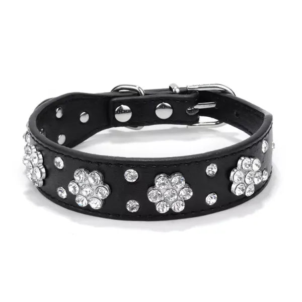 Crystal Flowers Dog Collar in Black - Posh Pawz - 1