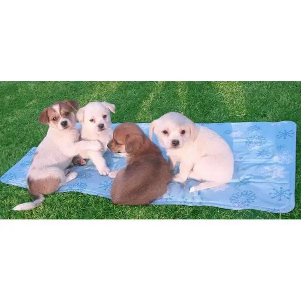 Dog Cooling Mat - Posh Pawz - 2