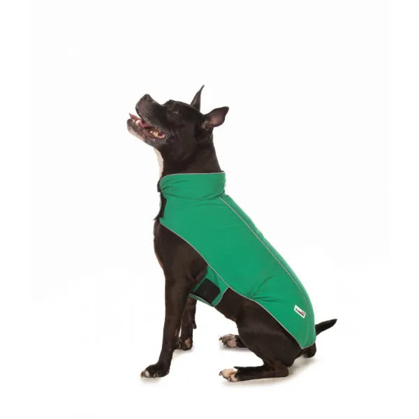 Doodlebone Mac in a Pack in Forest Green - Doodle - 1