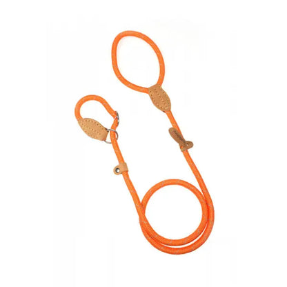 Doodlebone Originals Dog Slip Leads - Doodle - 11