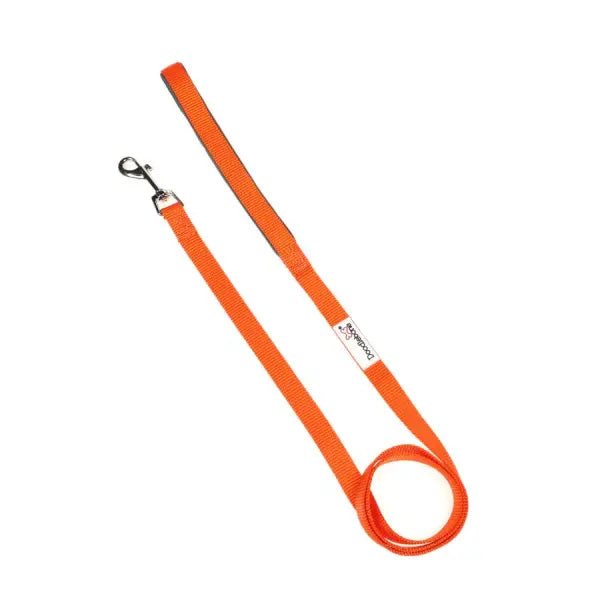 Doodlebone Originals Plain Dog Lead Tangerine - Doodlebone - 1