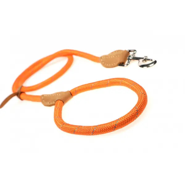 Doodlebone Originals Rope Dog Leads - Doodle - 7