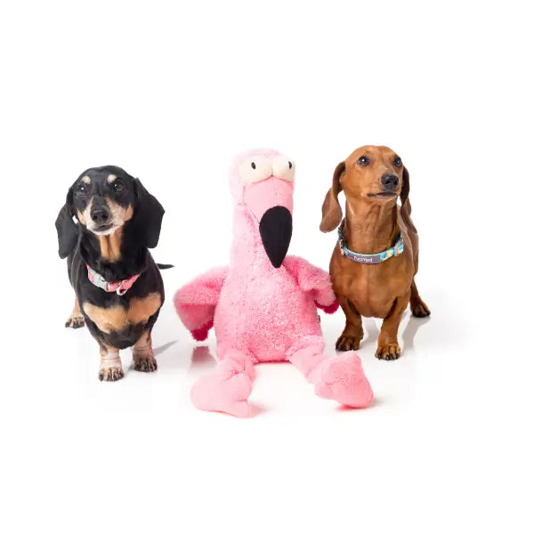 Flo the Flamingo Plush Dog Toy by Fuzzyard - Fuzzyard - 3