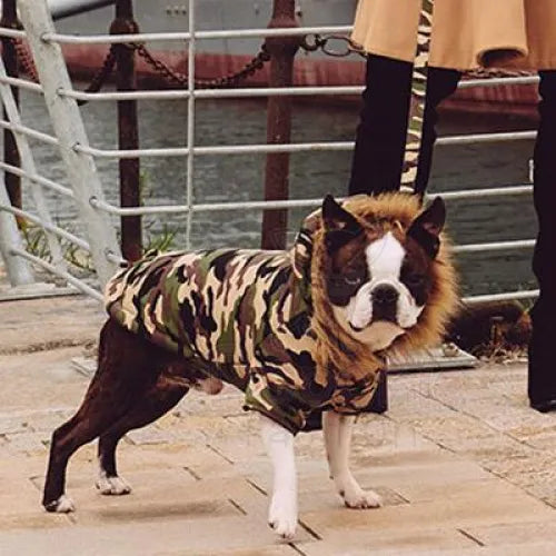 Forest Camouflage Fish Tail Parka Dog Coat - Urban Pup - 2