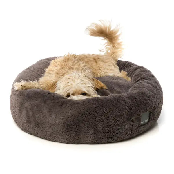 Fuzzyard Dreameazzzy Bed in Truffle Grey - Fuzzyard - 4