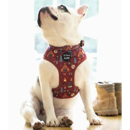 Great Adventure Dog Harness - Pet Pooch - 3