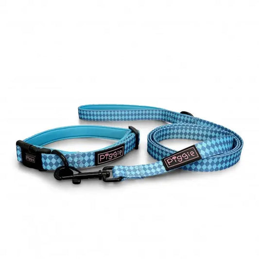 Harlequin Dog Collar and Lead Aqua - Piggie - 1