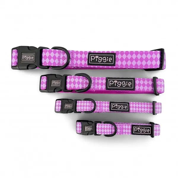 Harlequin Dog Collar and Lead Purple - Piggie - 4