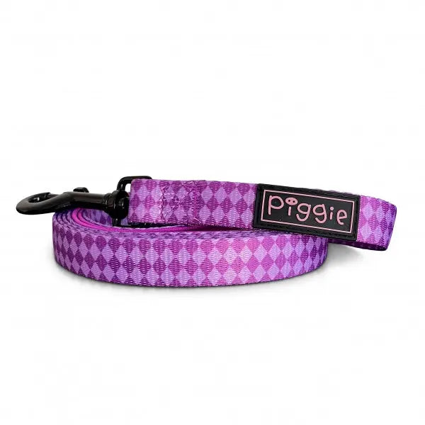 Harlequin Dog Lead Purple - Piggie - 1