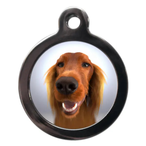 Irish Setter Fish Eye Dog ID Tag - PS Pet Tags - 1