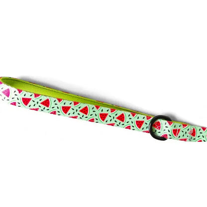 Juicy Fruit Dog Lead - Piggie - 3