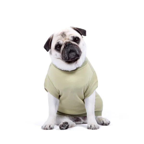 Khaki Green Plain Dog T-shirt - Rich Paw - 1