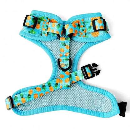 Lemon Squeeze Dog Harness Super Bundle - Piggie - 3