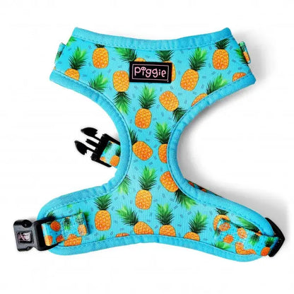 Lemon Squeeze Dog Harness Super Bundle - Piggie - 2